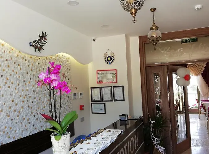 Zeytinli Konak B&B *